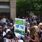 Triumph for Animal Rights: Wayne Hsiung’s Convictions Overturned by Appeals Court