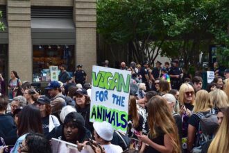 Triumph for Animal Rights: Wayne Hsiung’s Convictions Overturned by Appeals Court