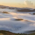 Day 10 of the Mountain View Water Crisis: Essential Updates and What You Should Know