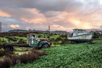16 Petaluma Businesses Leading the Way in Sustainable Innovation with Top Environmental Certifications!