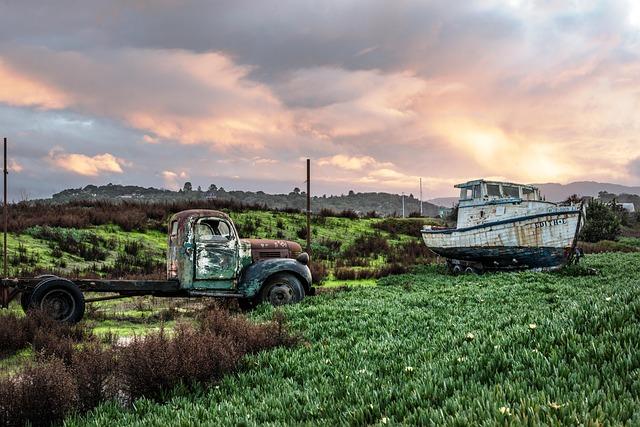 16 Petaluma Businesses Leading the Way in Sustainable Innovation with Top Environmental Certifications!