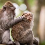 Shocking Revelations: Inappropriate Behavior Towards Young Women Exposed