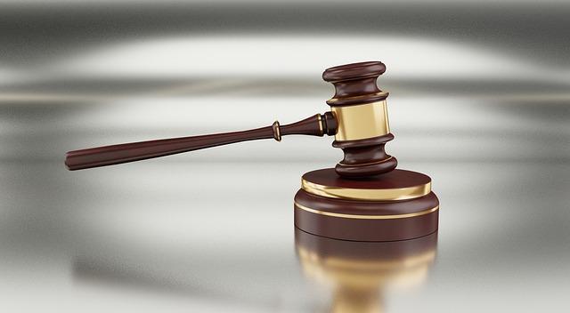 New Legislation Paves the Way for Swift Foster and Adoption of Abused Animals