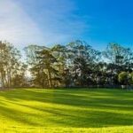San Francisco Parks Shine Bright: 6th Place in Annual ParkScore Rankings, with Bay Area Cities Making the National Top 100!