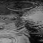 Bay Area Prepares for a Rainy Thursday: What to Expect!