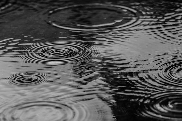 Bay Area Prepares for a Rainy Thursday: What to Expect!