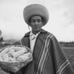 Empowering Indigenous Voices: A Game-Changing Bill for Accurate Representation of Students in California