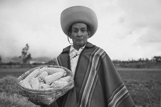 Empowering Indigenous Voices: A Game-Changing Bill for Accurate Representation of Students in California