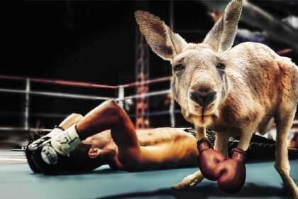Mayor Lurie’s Bold Vision for a Historic Boxing Match in San Francisco Crumbles
