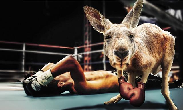 Mayor Lurie’s Bold Vision for a Historic Boxing Match in San Francisco Crumbles