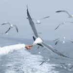 Flock Safety Sets the Record Straight on Federal Access to San Francisco’s Camera Network