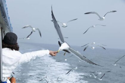 Flock Safety Sets the Record Straight on Federal Access to San Francisco’s Camera Network