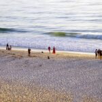 Shocking Lifeguard Incident at Half Moon Bay: Beachgoer Struck in Unforeseen Accident