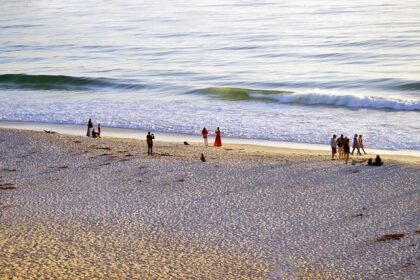Shocking Lifeguard Incident at Half Moon Bay: Beachgoer Struck in Unforeseen Accident