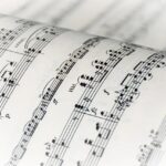 Unveiling the Enchantment of Cinema: A Journey Through Symphonic Scores, African Legends, and Artistic Wonders