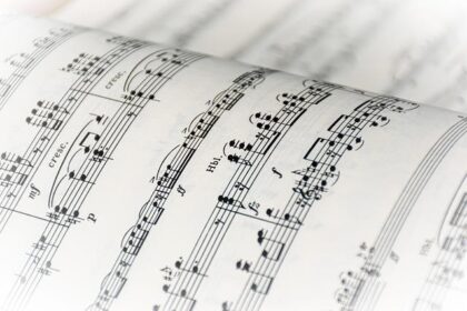 Unveiling the Enchantment of Cinema: A Journey Through Symphonic Scores, African Legends, and Artistic Wonders