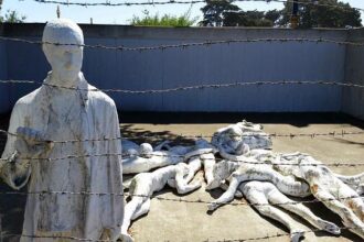 Uncover San Francisco’s Thrilling New Trail Connecting 12 Must-See Parks!
