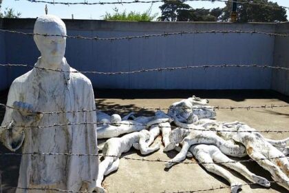 Uncover San Francisco’s Thrilling New Trail Connecting 12 Must-See Parks!