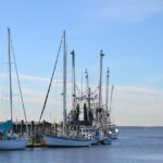 California’s Bold Strategy to Revitalize Its Aging Fishing Fleet Amid Looming Retirements