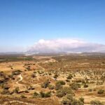 Wildfire burning in South Bay spreads to 283 acres