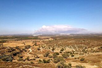 Massive Wildfire in South Bay Expands to 283 Acres!