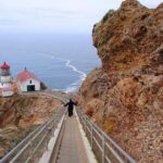 Best Bets: Point Reyes Sand Sculpture Contest, ‘Jurassic Park,’ ‘Hairspray,’ Brad Mehldau, Lyle Lovett