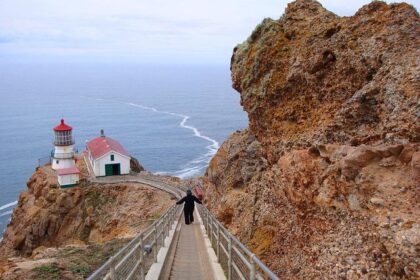 Unmissable Weekend Highlights: Point Reyes Sand Sculpture Contest, ‘Jurassic Park’ Screening, ‘Hairspray’ Musical, and Live Performances by Brad Mehldau and Lyle Lovett!