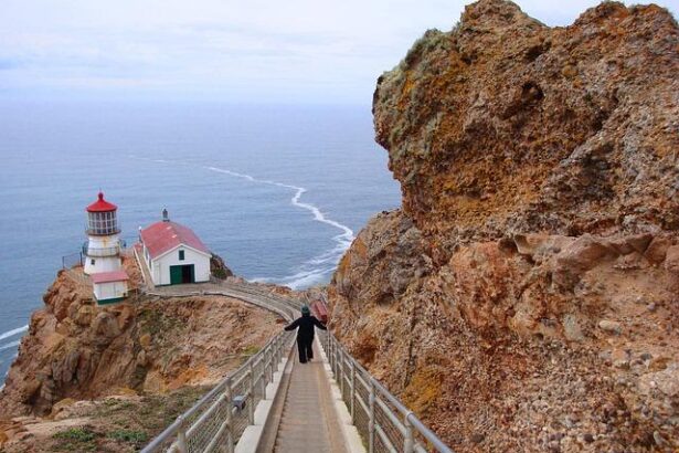 Unmissable Weekend Highlights: Point Reyes Sand Sculpture Contest, ‘Jurassic Park’ Screening, ‘Hairspray’ Musical, and Live Performances by Brad Mehldau and Lyle Lovett!