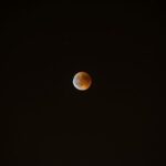 Embrace the Magic of the Moon: Celebrate the Lunar Eclipse at Chabot Space & Science Center!