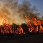 Unexpected Twist Thwarts Newsom’s Bold Strategy to Tackle Utility Wildfire Risks