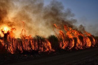 Unexpected Twist Thwarts Newsom’s Bold Strategy to Tackle Utility Wildfire Risks