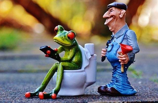 From DIY Fiasco to Legal Showdown: The Wild Tale of a Big Sur Park Toilet Repair From DIY Fiasco to Legal Showdown: The Wild Tale of a Big Sur Park Toilet Repair
