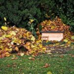 Shelter-in-place lifted for Fairfield residents