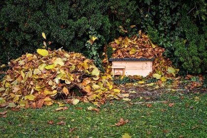 Shelter-in-place lifted for Fairfield residents