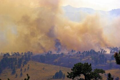 Prescribed burn Tuesday at Angel Island State Park