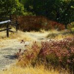 Empower Your Mind: Discover Sonoma County’s Free Virtual Workshops for Student Mental Health!