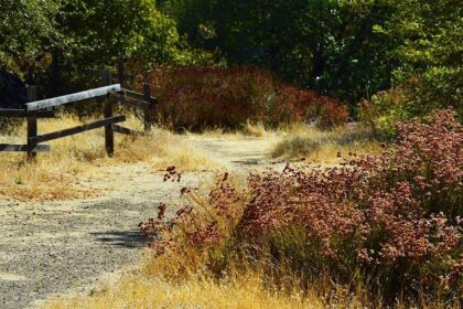 Empower Your Mind: Discover Sonoma County’s Free Virtual Workshops for Student Mental Health!