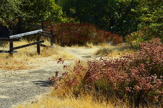 Empower Your Mind: Discover Sonoma County’s Free Virtual Workshops for Student Mental Health! Empower Your Mind: Discover Sonoma County’s Free Virtual Workshops for Student Mental Health!