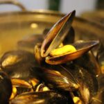 Urgent Alert: Golden Mussels Take Over Lake Del Valle – Boat Quarantine in Effect!