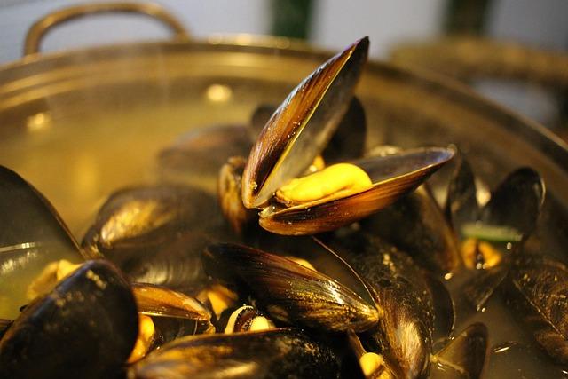 Urgent Alert: Golden Mussels Take Over Lake Del Valle – Boat Quarantine in Effect!