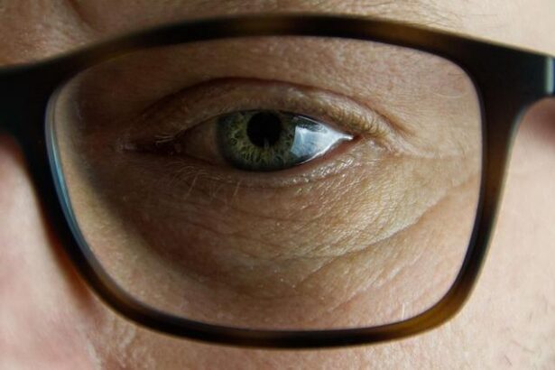 Man fatally stabbed at San Rafael shopping center Monday identified