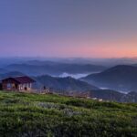 Fog Design + Art Thrives During the Buzz of San Francisco Art Week!