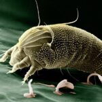 Safer by design: Green science makes its move – The Business Journals
