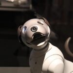 Earn  an Hour Walking Robot Dogs-No Experience Required!