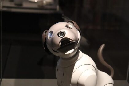 Earn  an Hour Walking Robot Dogs-No Experience Required!