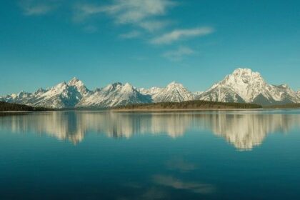 Unveiling the Hidden Tale of Grand Teton’s Legendary Bear in an Enchanting New Documentary!